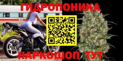 ешки Славянск-на-Кубани