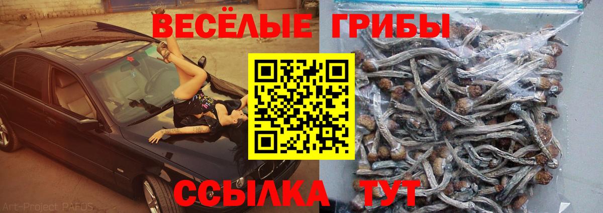 Родники  Галлюциногенные грибы мухоморы  Вход с VPN  Псилоцибиновые грибы Cubensis 
