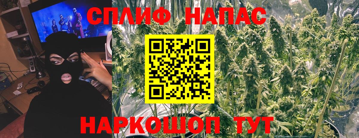 Каннабис планчик  Шишки марихуана THC 21%  Родники  Вход с VPN  МАРИХУАНА планчик  Бошки Шишки AK-47 