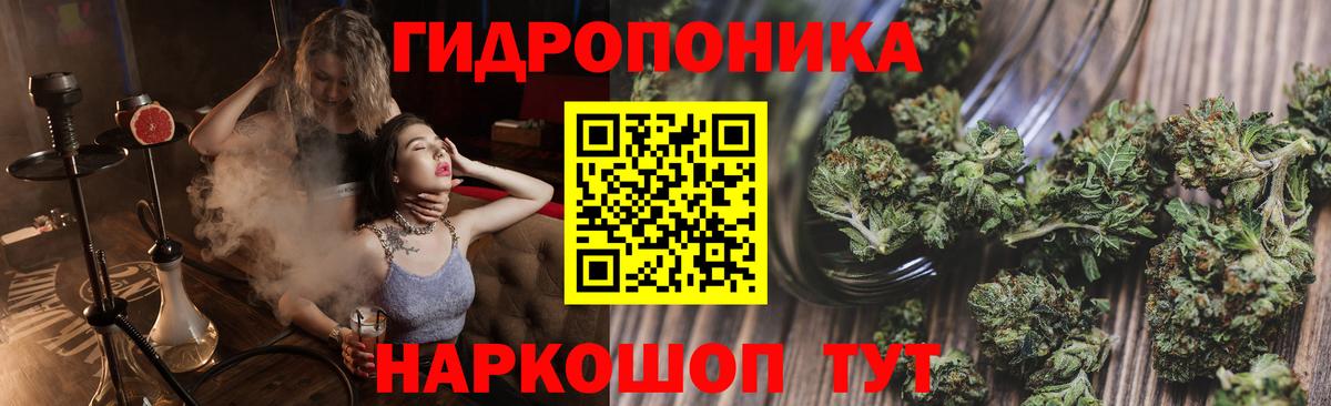 Каннабис конопля Родники